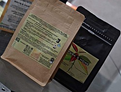 Té concentrado de guayusa de 250 gramos